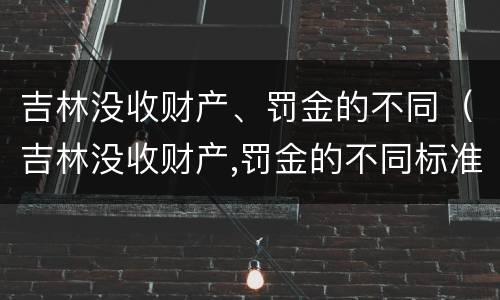 吉林没收财产、罚金的不同（吉林没收财产,罚金的不同标准）