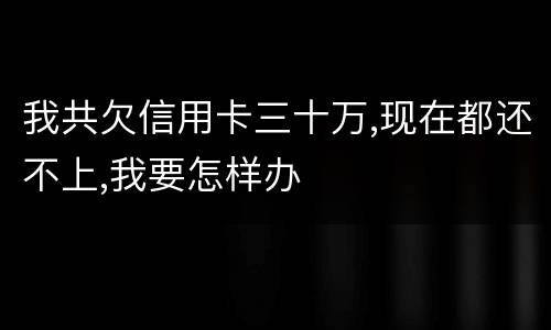 我共欠信用卡三十万,现在都还不上,我要怎样办