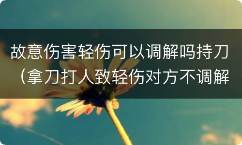 故意伤害轻伤可以调解吗持刀（拿刀打人致轻伤对方不调解怎么判）