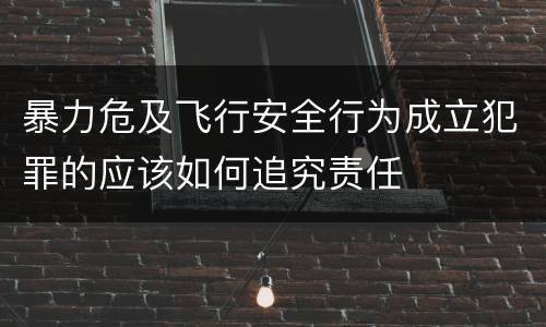 暴力危及飞行安全行为成立犯罪的应该如何追究责任