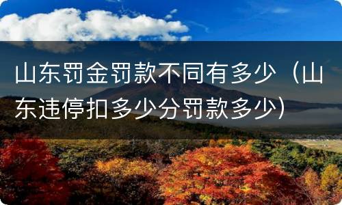 山东罚金罚款不同有多少（山东违停扣多少分罚款多少）