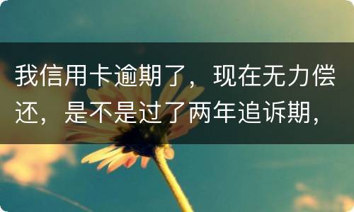 我信用卡逾期了，现在无力偿还，是不是过了两年追诉期，我就不会被起诉了