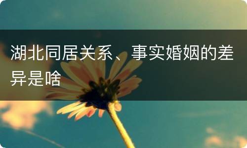 湖北同居关系、事实婚姻的差异是啥