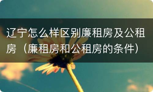 辽宁怎么样区别廉租房及公租房（廉租房和公租房的条件）