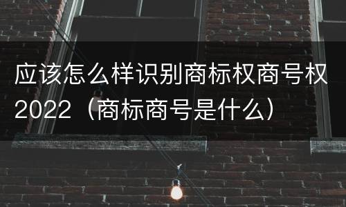 应该怎么样识别商标权商号权2022（商标商号是什么）