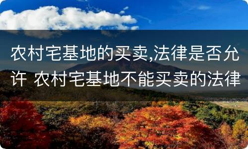 农村宅基地的买卖,法律是否允许 农村宅基地不能买卖的法律规定