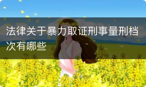 法律关于暴力取证刑事量刑档次有哪些