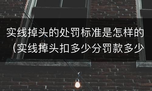 实线掉头的处罚标准是怎样的（实线掉头扣多少分罚款多少）