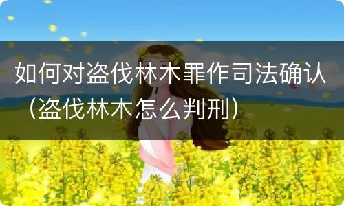 如何对盗伐林木罪作司法确认（盗伐林木怎么判刑）