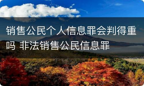 销售公民个人信息罪会判得重吗 非法销售公民信息罪
