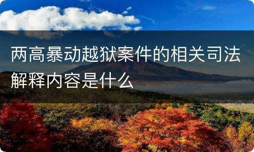 两高暴动越狱案件的相关司法解释内容是什么