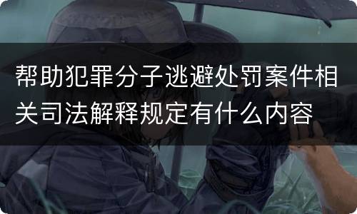 帮助犯罪分子逃避处罚案件相关司法解释规定有什么内容