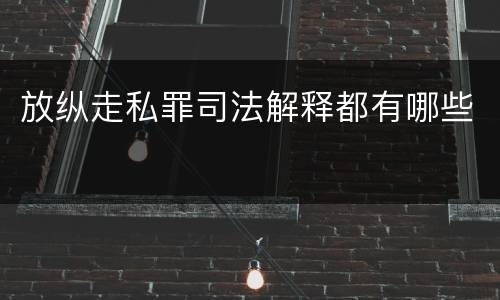 放纵走私罪司法解释都有哪些