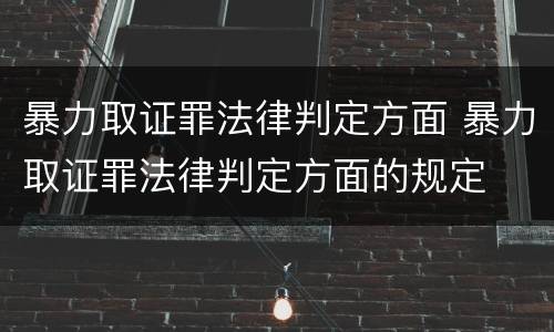 暴力取证罪法律判定方面 暴力取证罪法律判定方面的规定