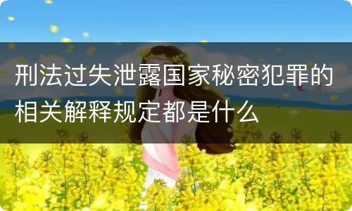 刑法过失泄露国家秘密犯罪的相关解释规定都是什么