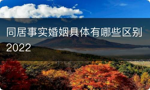同居事实婚姻具体有哪些区别2022