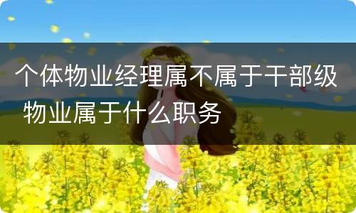 个体物业经理属不属于干部级 物业属于什么职务