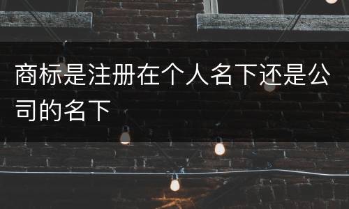 商标是注册在个人名下还是公司的名下
