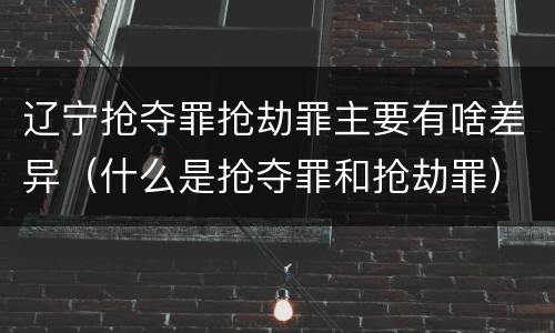 辽宁抢夺罪抢劫罪主要有啥差异（什么是抢夺罪和抢劫罪）