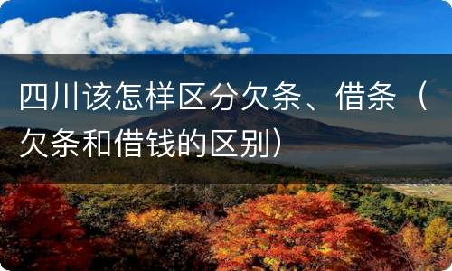 四川该怎样区分欠条、借条（欠条和借钱的区别）