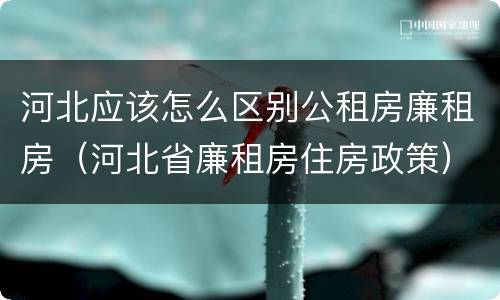 河北应该怎么区别公租房廉租房（河北省廉租房住房政策）
