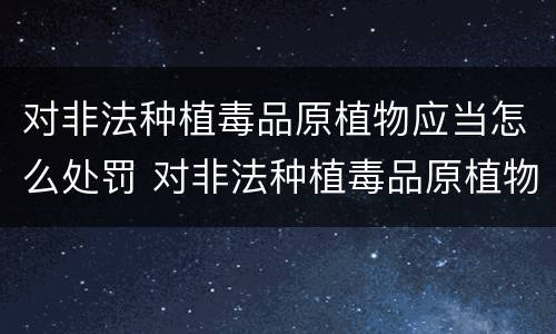 对非法种植毒品原植物应当怎么处罚 对非法种植毒品原植物的政府应采取什么措施