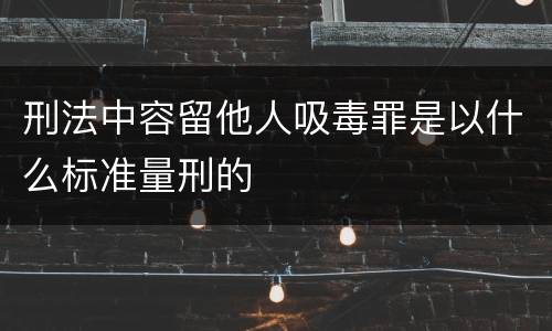 刑法中容留他人吸毒罪是以什么标准量刑的
