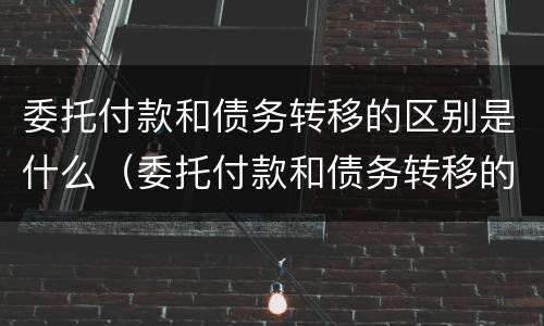 委托付款和债务转移的区别是什么（委托付款和债务转移的区别是什么呢）