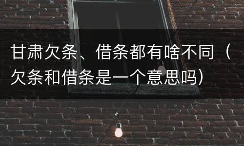 甘肃欠条、借条都有啥不同（欠条和借条是一个意思吗）