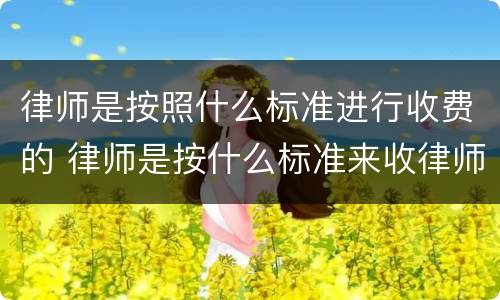 律师是按照什么标准进行收费的 律师是按什么标准来收律师费
