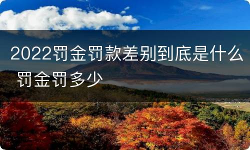 2022罚金罚款差别到底是什么 罚金罚多少