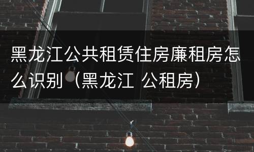 黑龙江公共租赁住房廉租房怎么识别（黑龙江 公租房）