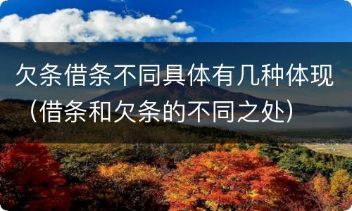 欠条借条不同具体有几种体现（借条和欠条的不同之处）