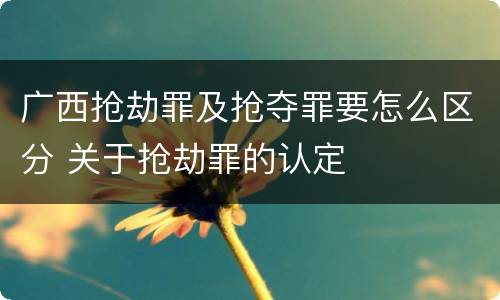 广西抢劫罪及抢夺罪要怎么区分 关于抢劫罪的认定
