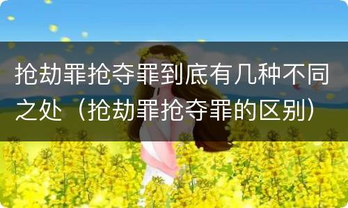 抢劫罪抢夺罪到底有几种不同之处（抢劫罪抢夺罪的区别）