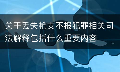 关于丢失枪支不报犯罪相关司法解释包括什么重要内容