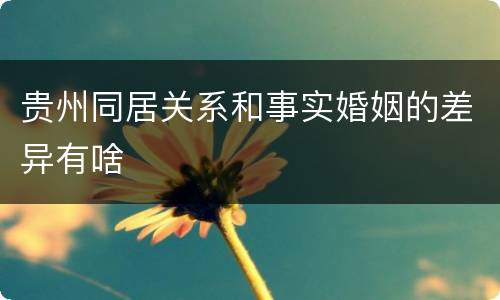贵州同居关系和事实婚姻的差异有啥