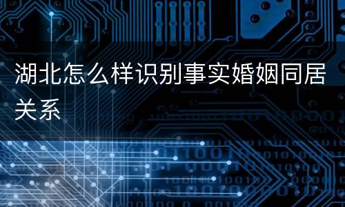 湖北怎么样识别事实婚姻同居关系