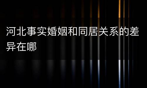 河北事实婚姻和同居关系的差异在哪