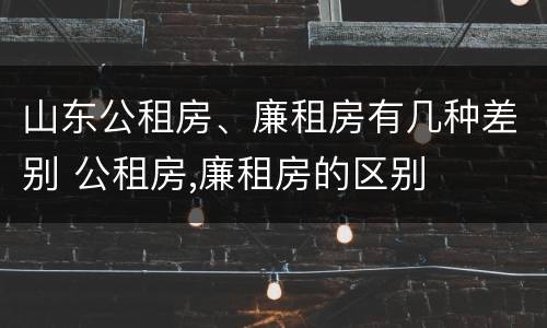 山东公租房、廉租房有几种差别 公租房,廉租房的区别