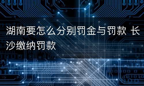 湖南要怎么分别罚金与罚款 长沙缴纳罚款