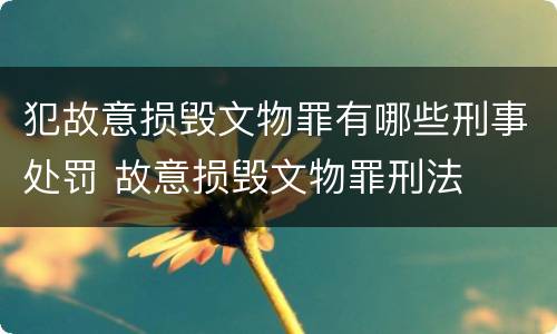 犯故意损毁文物罪有哪些刑事处罚 故意损毁文物罪刑法