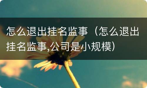 怎么退出挂名监事（怎么退出挂名监事,公司是小规模）