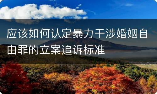 应该如何认定暴力干涉婚姻自由罪的立案追诉标准