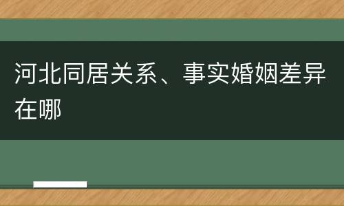 河北同居关系、事实婚姻差异在哪
