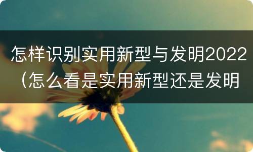 怎样识别实用新型与发明2022（怎么看是实用新型还是发明）