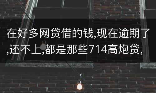在好多网贷借的钱,现在逾期了,还不上,都是那些714高炮贷,征信上也没有