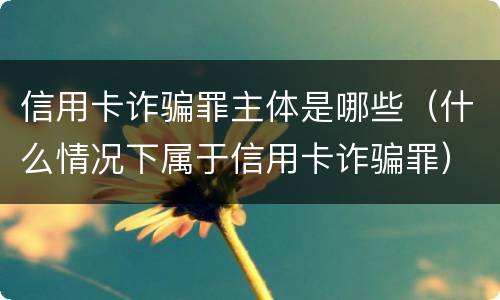 信用卡诈骗罪主体是哪些（什么情况下属于信用卡诈骗罪）