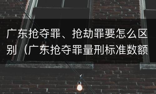 广东抢夺罪、抢劫罪要怎么区别（广东抢夺罪量刑标准数额）