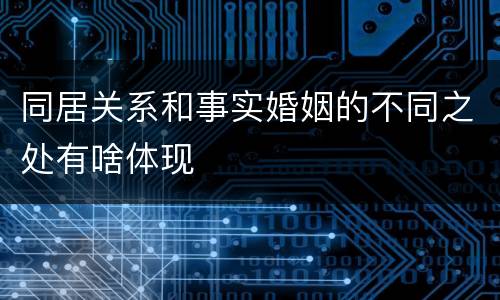 同居关系和事实婚姻的不同之处有啥体现